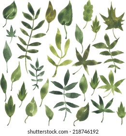 set of silhouettes of leaves in watercolor, vector illustration