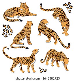 Set of silhouettes of leopards. Vector hand-drawn design on the white background.