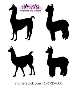 set of silhouettes of llamas and alpacas isolated on white realistic