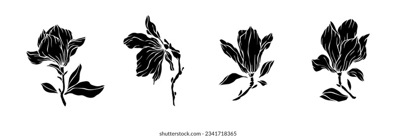 Conjunto de siluetas de flores y brotes de magnolia.Gráficos vectoriales.