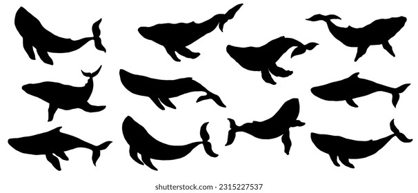 Set of silhouettes of marine mammals whales.Vector graphics.