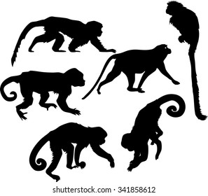 set of silhouettes of monkeys