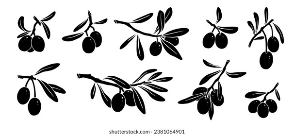 Set of silhouettes of olive branches with berries. Vector graphics.