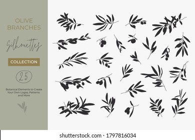 A set Silhouettes Olive Branches isolated light background in simple style  Vector Illustrations Olive Tree Branches With fruits   Leaves to create logos  patterns    more