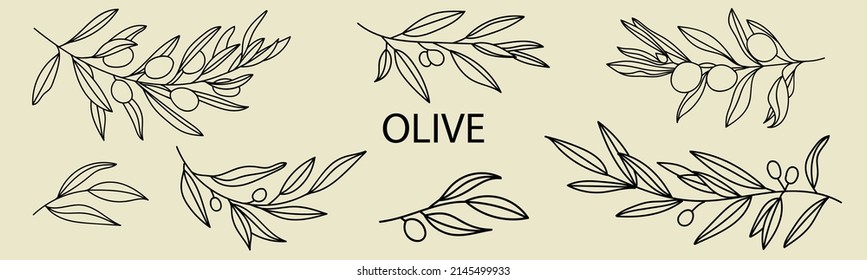 Un conjunto de siluetas de ramas de oliva aisladas en un fondo claro y de un estilo sencillo. Ilustraciones vectoriales de ramas de olivos con frutas y hojas para crear logotipos, patrones y más