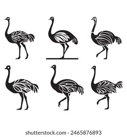 set of silhouettes of Ostrich Vector illustration silhouette