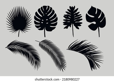 Satz von Silhouetten aus Palmblättern und Ästen