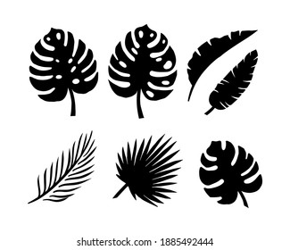 Set of silhouettes of palm leaves isolated on a white background. vector EPS10