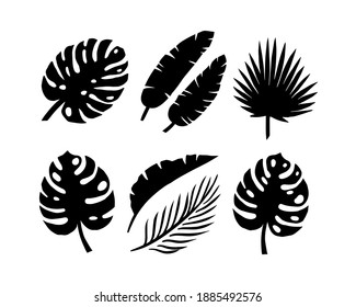 Set of silhouettes of palm leaves isolated on a white background. vector EPS10