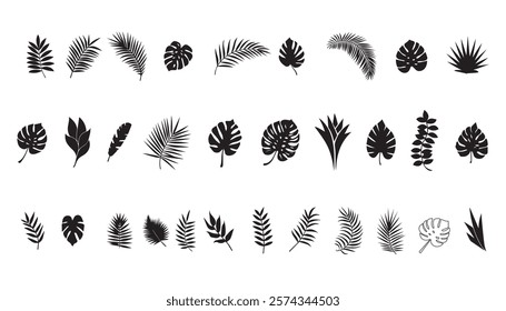Set of silhouettes of palm leaves  leaf elements design