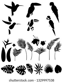 Set of silhouettes of palm leaves and other tropical plants and flowers and tropical birds isolated on white background for animation