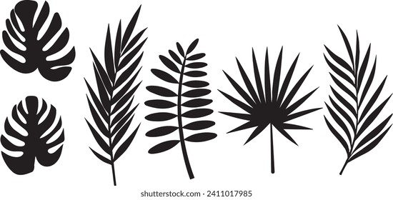 Set of silhouettes of palm leaves. Vector simple set of exotic palm leaves.