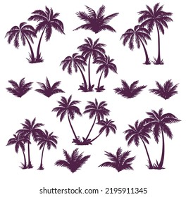 Set of silhouettes of palm trees