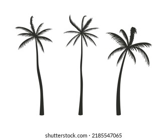 Set of silhouettes of palm trees in a hand-drawn style. Flat vector illustration.