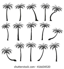 Set silhouettes of palm trees isolated on white background 