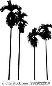 Set of silhouettes of palm trees on a white background. Vector illustration