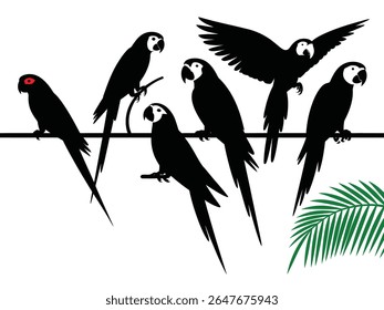 set of silhouettes of parrots of different poses and in different angles vector