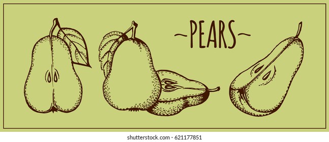 Set of the  silhouettes of pears. Icon
