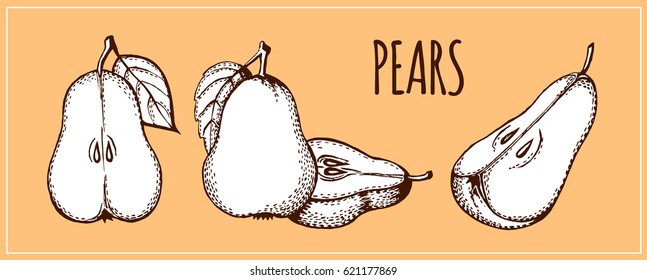Set of the  silhouettes of pears. Pears icon