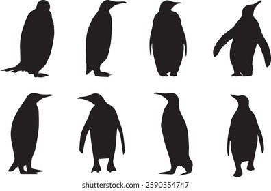 Set of silhouettes of penguin in black in different poses isolated on a white background. Vector realistic Illustrations