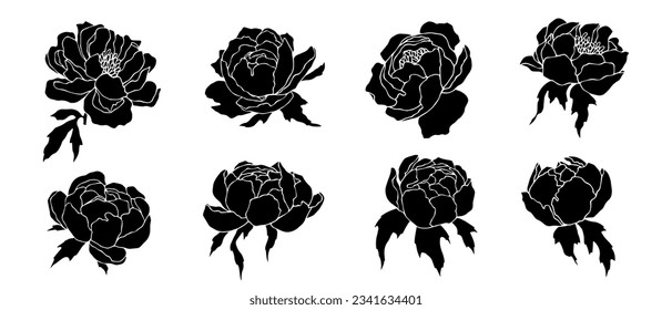 Set of silhouettes of peony flowers and buds.Vector graphics.