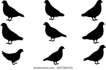 Um conjunto de silhuetas de pombos. Ilustração vetorial