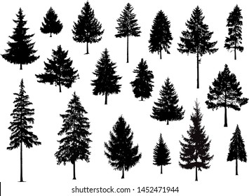 Set. Silhouettes of pine trees. Hand made.