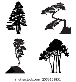 Set of silhouettes of pine trees on a white background. Vector illustration for your design in nature and ecology style