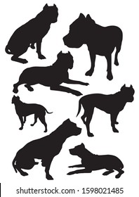 set of silhouettes pit bull vector illustration