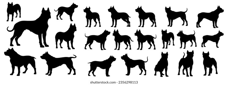 set of silhouettes of pitbull standing. isolated on a transparent background. eps 10