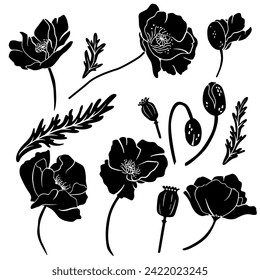 set of silhouettes of poppy flowers, buds and boxes. Vector image for plotter cutting