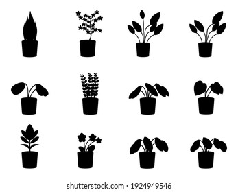 A set of silhouettes of potted flowers isolated on a white background. Indoor plants vector illustration.