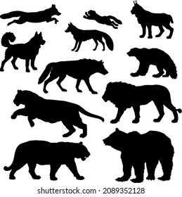 a set of silhouettes of predatory animals isolated on a white background.