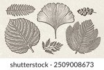 Set of silhouettes of prehistoric flora - ferns, ginkgo, araucaria. Fossils prehistoric botanicals isolated on vintage paper background. Vector flat illustration.