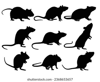 Las siluetas de rata.
