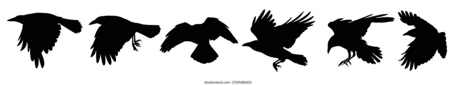 Set of silhouettes ravens, vector illustration.