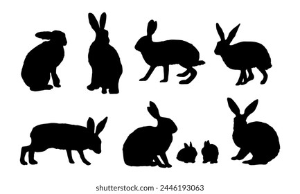 Set of silhouettes of realistic European hare or brown hare. Adult Lepus europaeus hares and their young. Vector animal