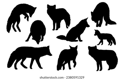 Conjunto de siluetas de zorros rojos Vulpes vulpes. Los zorros comunes y sus cachorros caminan, se sientan, se paran y cazan. Animales vectoriales carnívoros realistas