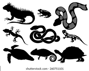 set of silhouettes of reptiles