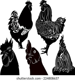 Vintage Rooster Logo Images Stock Photos Vectors Shutterstock