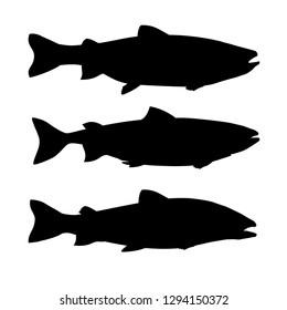 Set of silhouettes of salmon fish. Side view. Vector illustration isolated on white background.