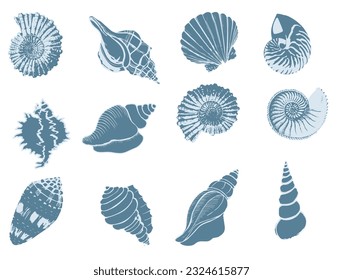 Set of silhouettes of sea cockleshells isolated on white background. Vector shells. Blue shells