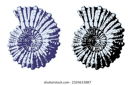 Conjunto de siluetas de gallos de mar aislados en un fondo blanco. Cáscaras vectoriales. Conchas violetas y negras