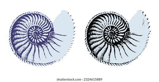 Set of silhouettes of sea cockleshells isolated on white background. Vector shells. Violet and black shells