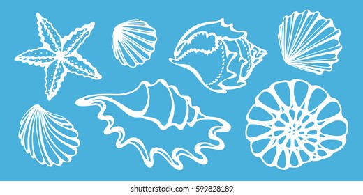 Set of silhouettes of sea shells on a blue background. Starfish, shell, conch, spiral, helix.  Vector illustration