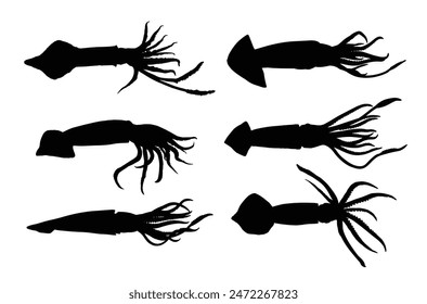 The set silhouettes of sea squid.
