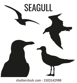 Set of silhouettes of seagulls in various poses. Vector illustration isolated on white background