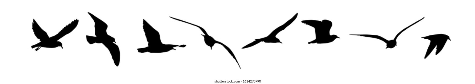 A set of silhouettes of seagulls. Vector illustration