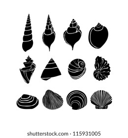 Set with silhouettes seashells