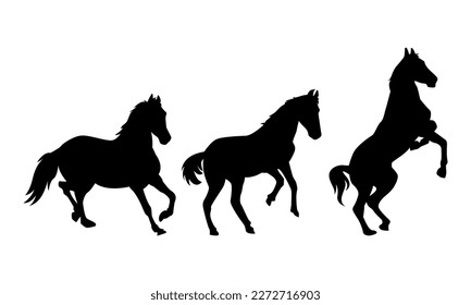 set of silhouettes of several horses with different poses, gestures. side view. running, neighing. the concept of animal, pet, farm, sport, horse racing, vehicle. flat vector illustration.